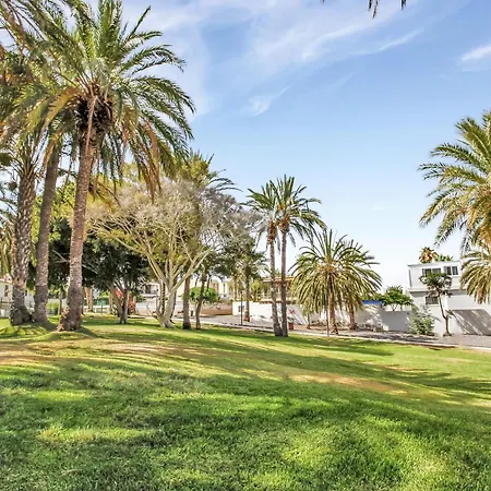 Estudio Renovado Con Piscina, Wi-fi Y Parking En Playa De Las Americas - Es-347-8 Арона
